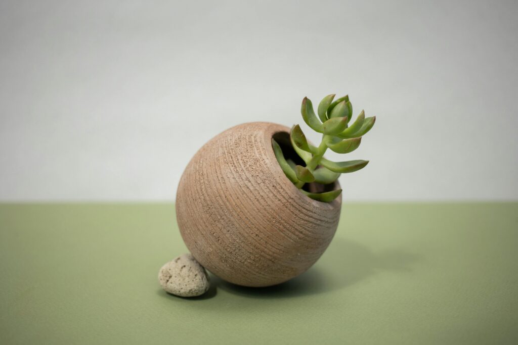 benefits of jade plant