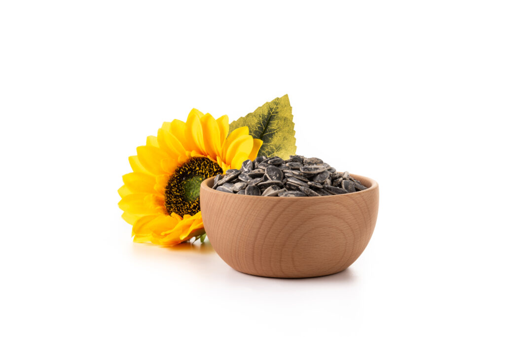 sun flower seeds