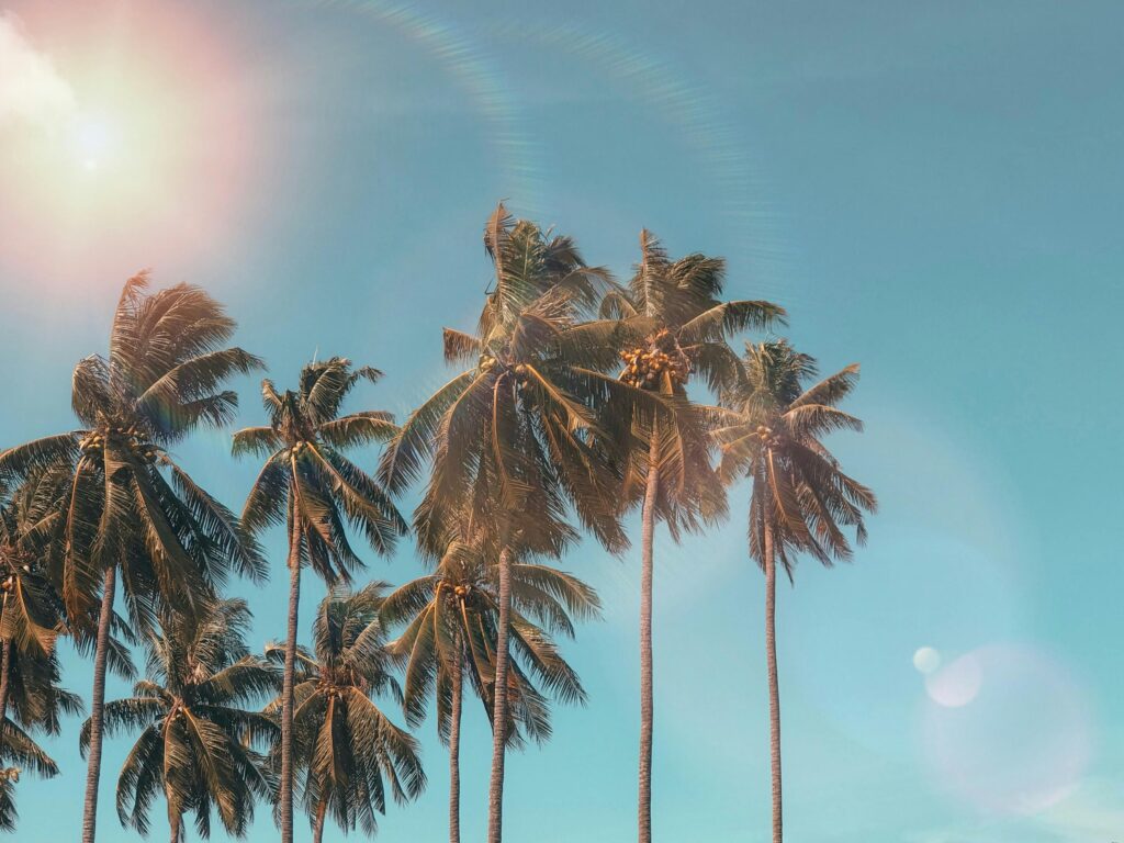Tips for happy healthy summers